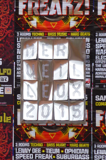 Louise Devalois vœux 2015 installation