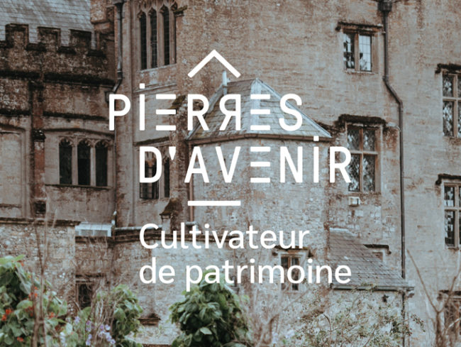 Pierres d’avenir • Logo & charte graphique Louise Devalois, graphiste à Toulouse