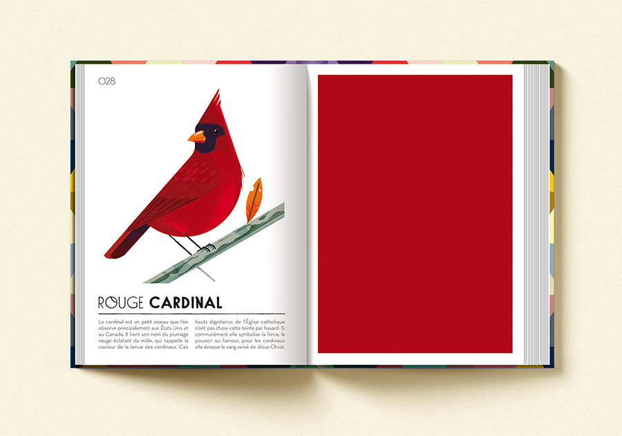 colorama01©cruschiform