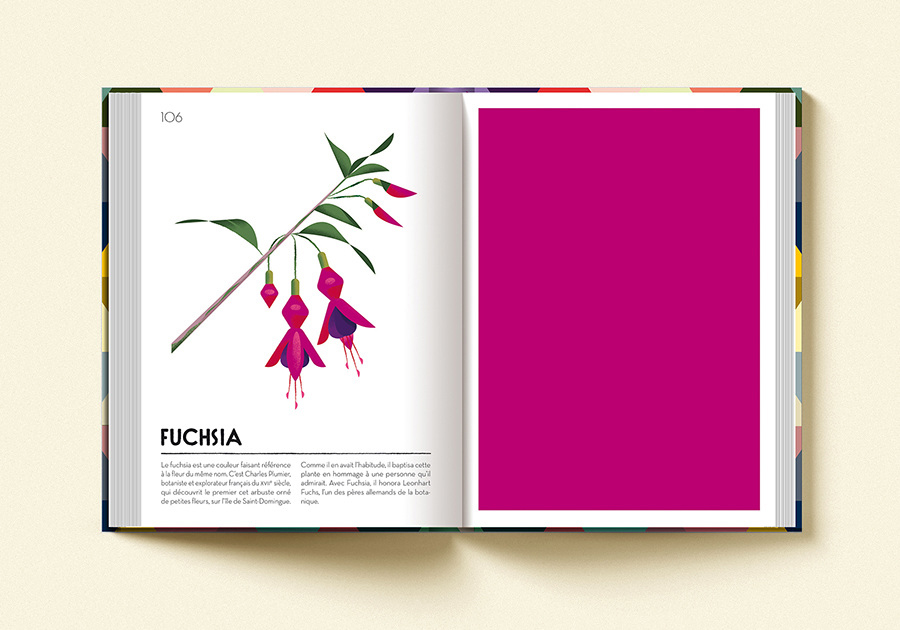 colorama04©cruschiform